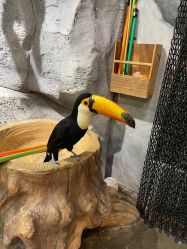 -Zoolung Zoolung动物主题公园(海信广场店)