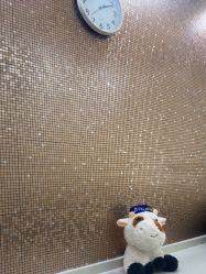 -上海首尔丽格医疗美容医院
