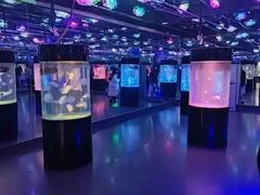 -洛阳龙门海洋馆