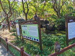 -南湾猴岛+椰田古寨一日游