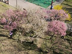 -北京明城墙遗址公园