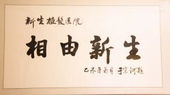 题字-新生植发·植养护一体