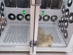 -FAELING PETS美天灵宠物(富力广场店)