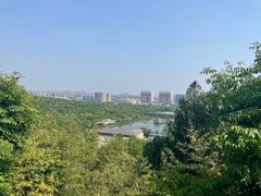 -竹林寺