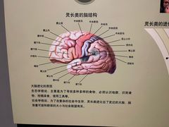 -天津自然博物馆