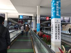 -中部国际机场