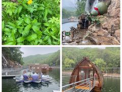 -参仙谷生态旅游度假区