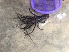 -班赞海鲜市场