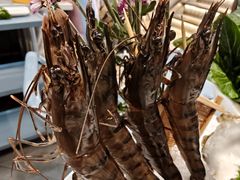 -喜聚薈·花膠雞海鮮火鍋(越秀店)