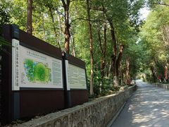 -大蜀山国家森林公园