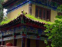 -大泽山风景名胜区
