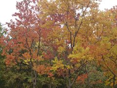 -云龙湖旅游景区