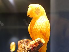 -广东省博物馆