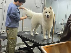 -PETKIT小佩宠物(古北店)