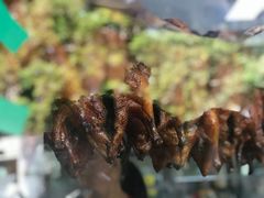 皮脆肉嫩的红皮鸭-晓马鸭店(新芜路店)