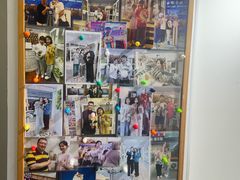 -青奢宠物·青奢猫舍