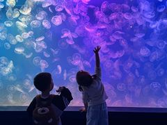 -左海海底世界