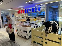 -红星前进面包牛奶公司(君太店)