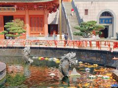 -上海东林寺(金山区)