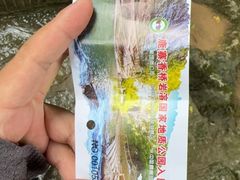 -香桥岩溶国家地质公园