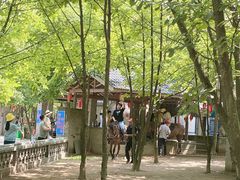 -杨家寨