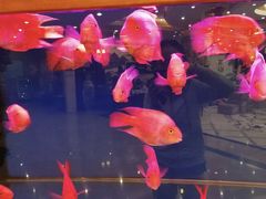 -无名居(西直门总店)