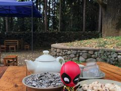 -腾冲国萍农家乐