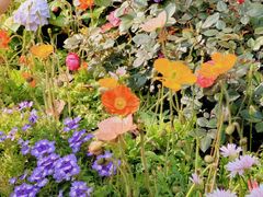 -人民公园(罗湖区)