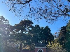 -香山公园