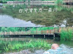 -白河湾生态旅游一条川