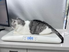 -博特宠物医院24h犬猫全科.骨科·异宠