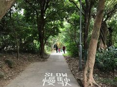 -南丫岛