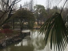 -瀛洲公园