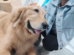 -楼上猫咖(罗湖店)