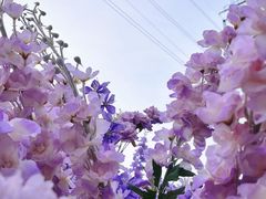 -龙湖南京江北天街