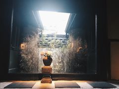 -觀芷隐轩