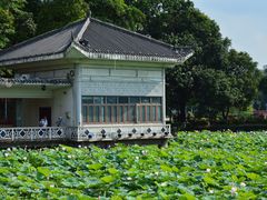 -荔湾湖公园
