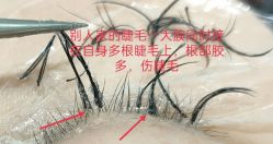 -ViVi薇薇日式＆新中式美睫半永久