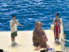 -泉城欧乐堡海洋极地世界