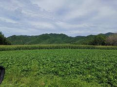 -兰河峪第117加油站