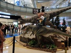 -成都浩海立方海洋公园