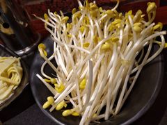 -莽子老火锅(大坪店)
