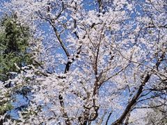-吉林大学(南岭校区)