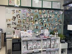 -爱妮康宠物医院·干细胞免疫细胞·肿瘤·心脏(张江店)