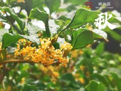 -颐和园