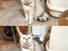 -小时光咖啡馆(北锣鼓巷店)
