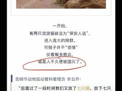 -昆明动物园