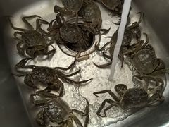 -黄记大闸蟹专卖店·活蟹·醉蟹