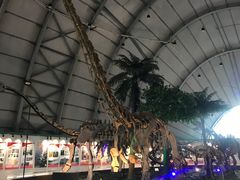 -辽宁古生物博物馆
