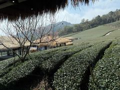 -优游吧斯邹族文化部落